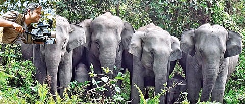 Addressing the elephant in the room