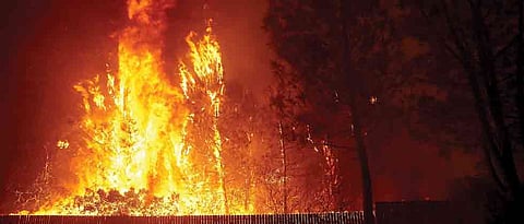 Firefighters battle 560 wildfires across California