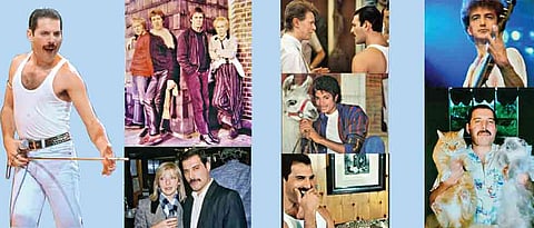 Fantastic Freddie
