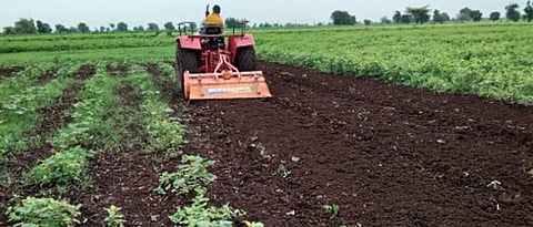 Counterfeit Agricultural Inputs: 15 Distributors Licenses Permanently Revoked