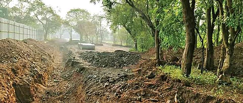 City’s Environment activists start chain fasting to protect biodiversity