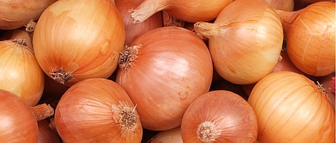India imports 2,400 tonnes onion from Egypt to check prices