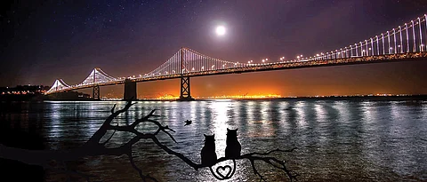 PMC to light up 7 bridges in city