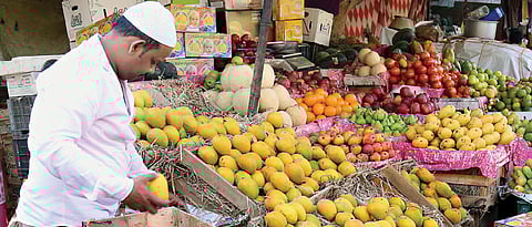 No takers for poor quality Alphonso mangoes this season