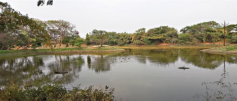 Conserve nature’s source to conserve nature