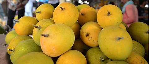 Make summer sweet with mangoes, but don't overindulge: Experts