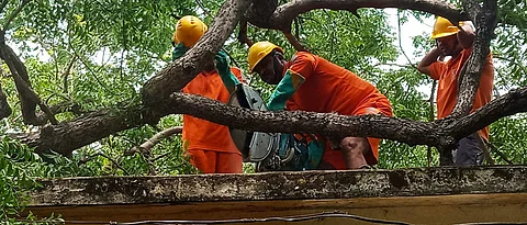 UN agency praises India on minimising loss of life from Cyclone Fani