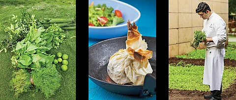 Plating up sustainability