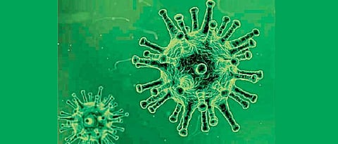 Coronavirus: Central team to visit Maha, no confirmed case