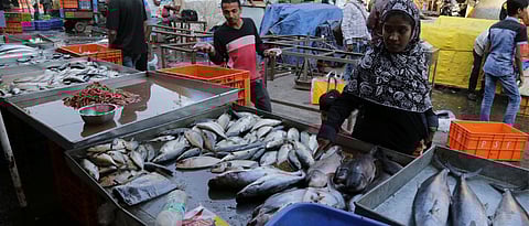 Subsidy on diesel denied from govt to fishermen