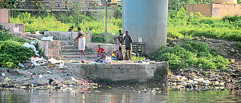 A petition for a war on sewage