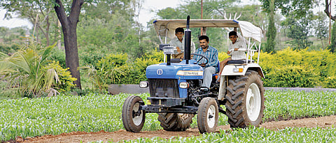 Eligible bachelor farmers facing rejection