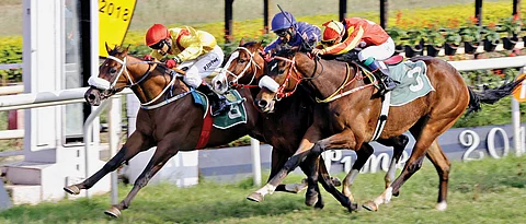 Fiery Pioneer steers to win Pune Derby