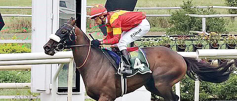 Caprisca wins Fair Haven Trophy