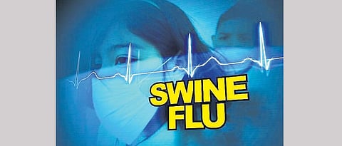 Swine flu alert ahead of Ganesh festival