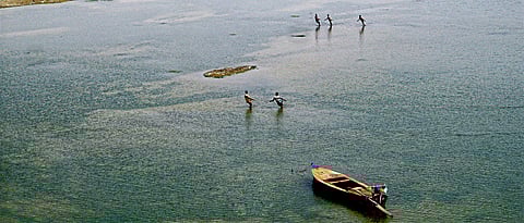 The difficulty of sharing water!