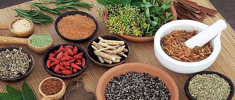 Pune: Ayurved medicines improve constipation management in end-stage cancer patients