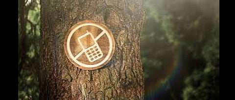 Digital detox: Desperate necessity of the moment!