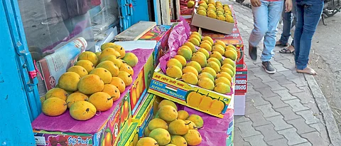 Coronavirus Pune: Order Mangoes online!