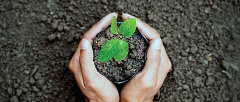 Go green, go clean