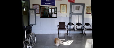 Civic body’s health dept severely understaffed ahead of monsoon