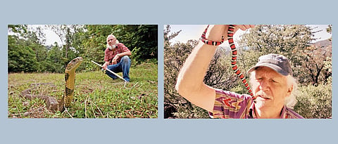 When Romulus Whitaker says, ‘I like snakes’...