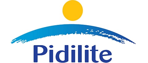Pidilite to hold creative lessons at schools in city