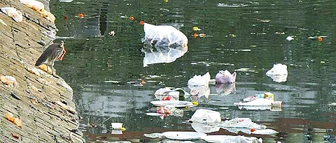 Citizens need to play vital role in plastic ban’s implementation