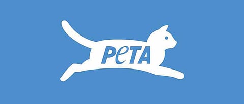 PETA moves Delhi HC for rules to end animal cruelty