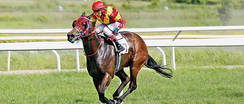 CS Jodha steers Headway to win