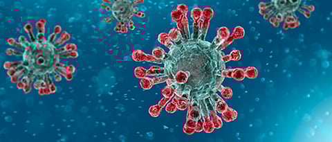 Five new COVID-19 cases in Dharavi; slum area tally 60