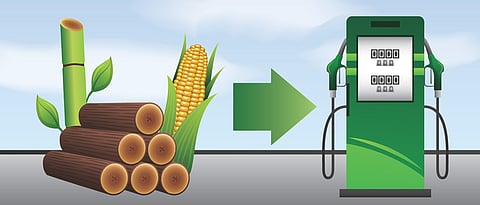 Cabinet approves National Biofuel Policy