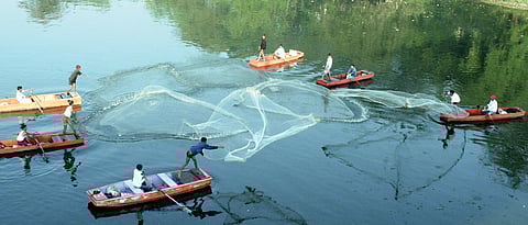 ‘Will take final call on proj tenders after consultation’