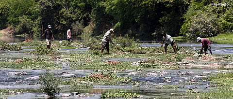 River Cleaning Drive Held