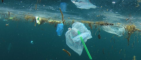 Plastic straws? Cigarette butts are worst ocean pollutants
