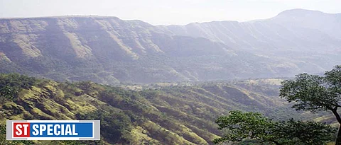 ‘Floral species in Western Ghats are endangered’