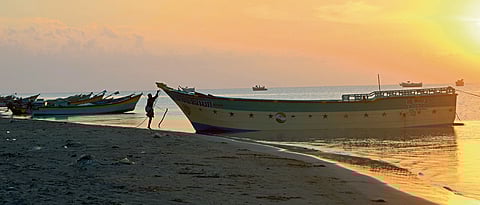 In the heart of Vedaranyam