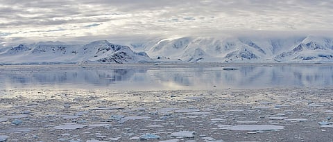 Remains of ancient rainforests discovered in Antarctica