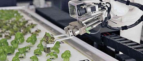 Will robot farms be financially viable?