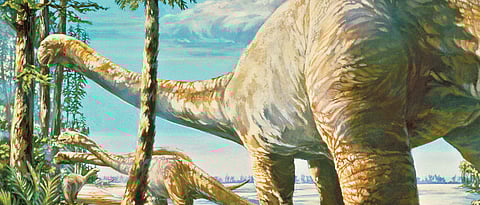 Are we nearing sixth extinction?