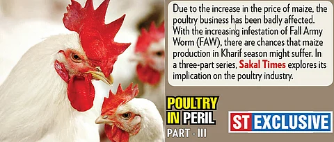 Chicken, egg prices may go up due to soaring production cost