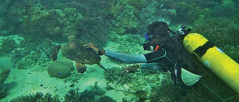 An underwater paradise