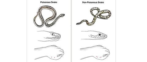 Baner-Pashan citizens meet to educate people about snakes