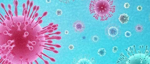 Coronavirus India: Eight states accounted for 85.5 per cent of COVID-19 cases in India, Health Ministry