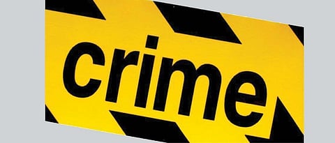 Angry and Jobless: Teen Vandalizes Vehicles After Neighbor's Taunts