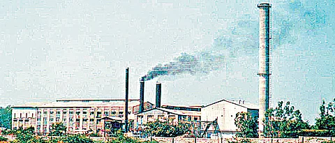 State co-op sugar factories make it big