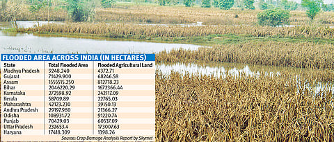 4L hectares crop damaged in State