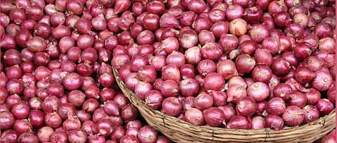 Wholesale onion price remains high