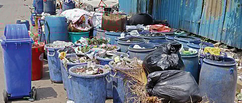 Pune: Workers Face Health Hazards at Waste Segregation Center