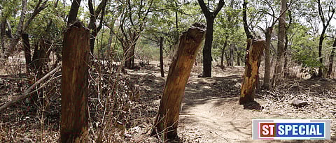 Include Salim Ali bird sanctuary in natural heritage site list: Citizens